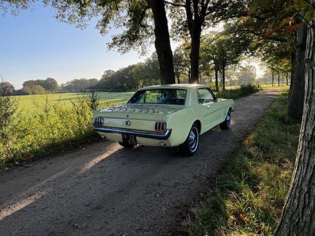 Ford USA Mustang Coupe 289cui V8 Automaat 1965, foto 6