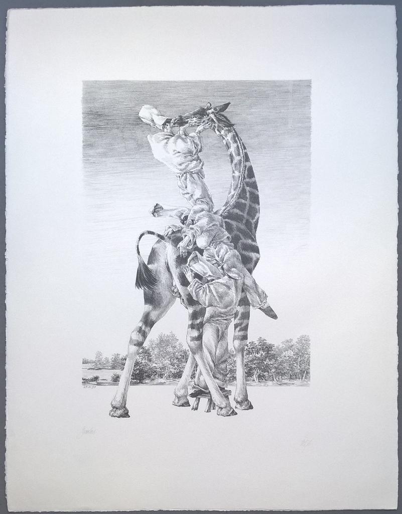 Peter Vos - Gevoelens -  gesigneerde litho, Ophalen of Verzenden