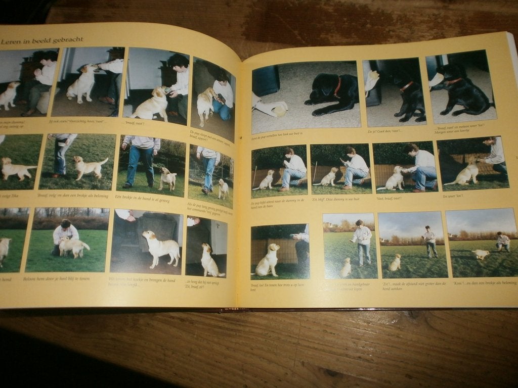 de labrador retriever mooi boek veel info over het ras fotos, Ophalen of Verzenden, Nieuw, Honden