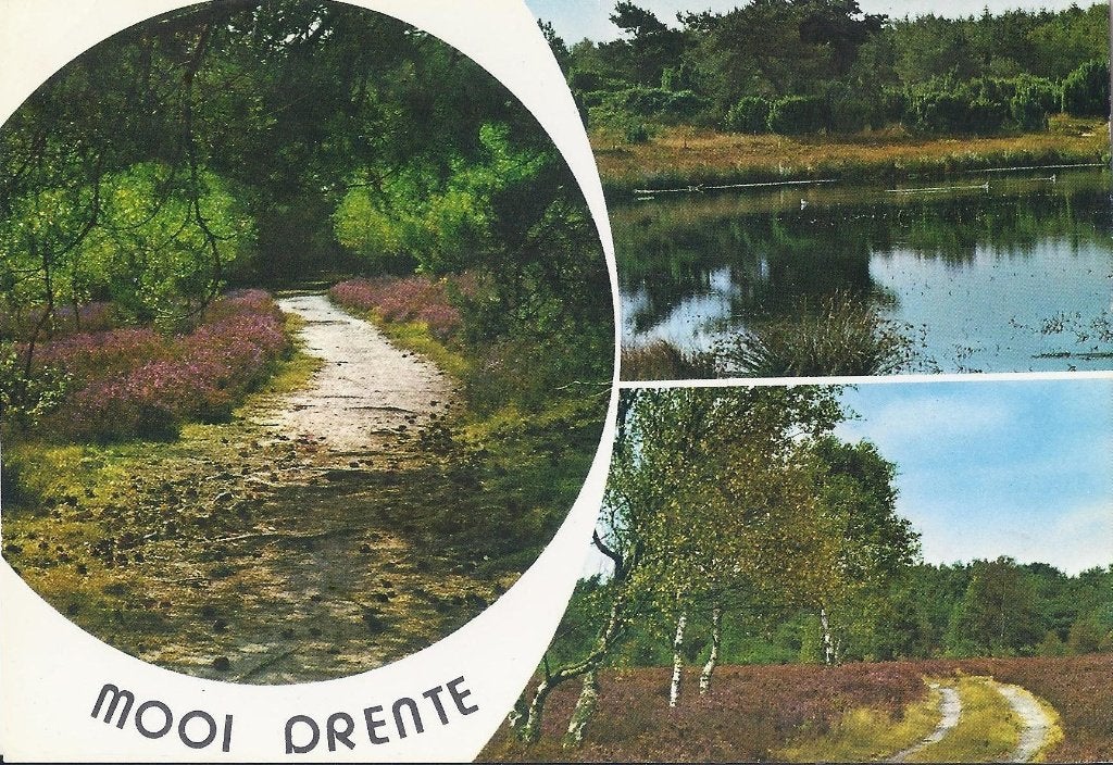 Mooi Drente gelopen Ansichtkaart ( 1335 ), Ophalen of Verzenden, 1960 tot 1980, Gelopen
