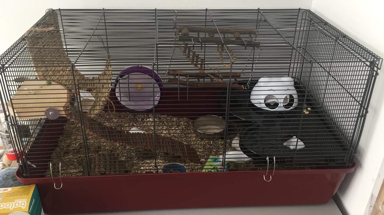 Grote hamsterkooi incl goede accesoires, Kooi, Hamster, 75 tot 110 cm, Ophalen