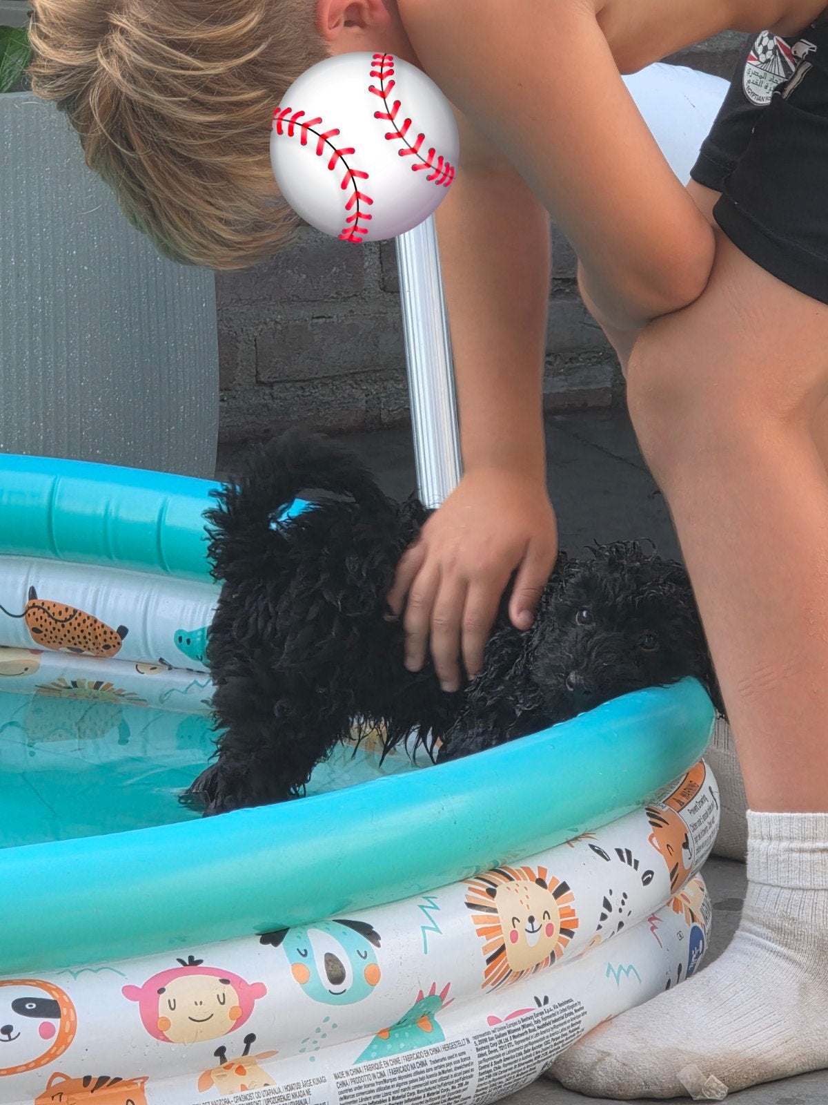 nog 1 super lief maltipoo teefje, Overige rassen, 8 tot 15 weken, Teef, Eén hond