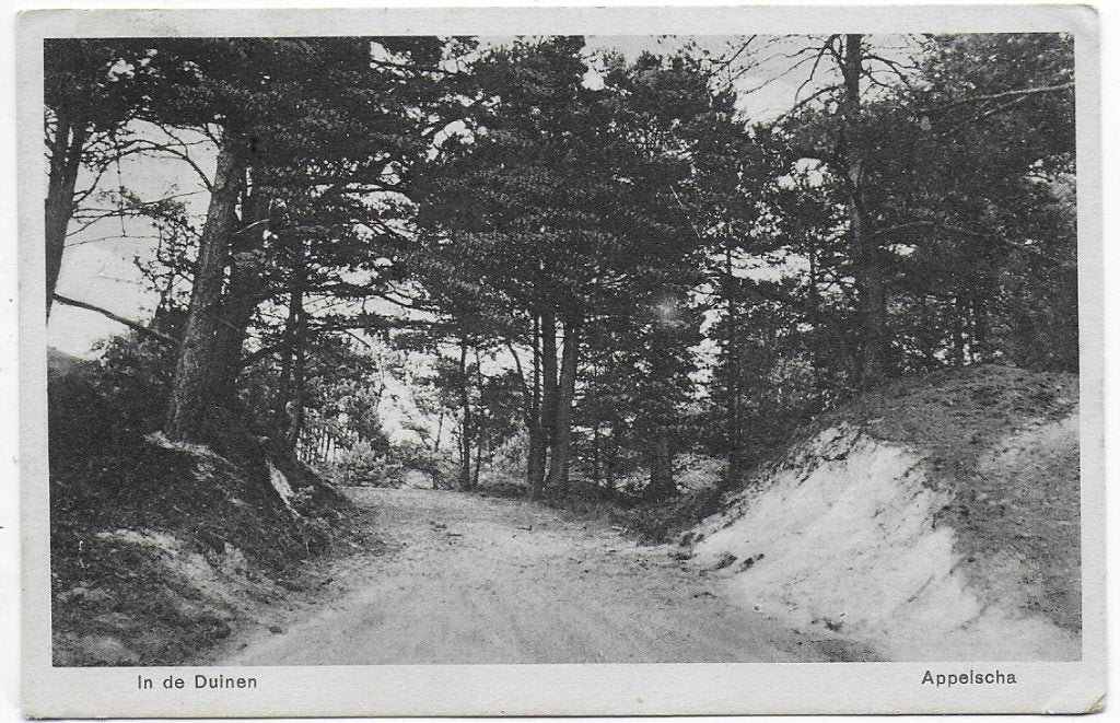 Appelscha in de duinen oude gelopen ansichtkaart ( a2481 ), Ophalen of Verzenden, 1940 tot 1960, Gelopen