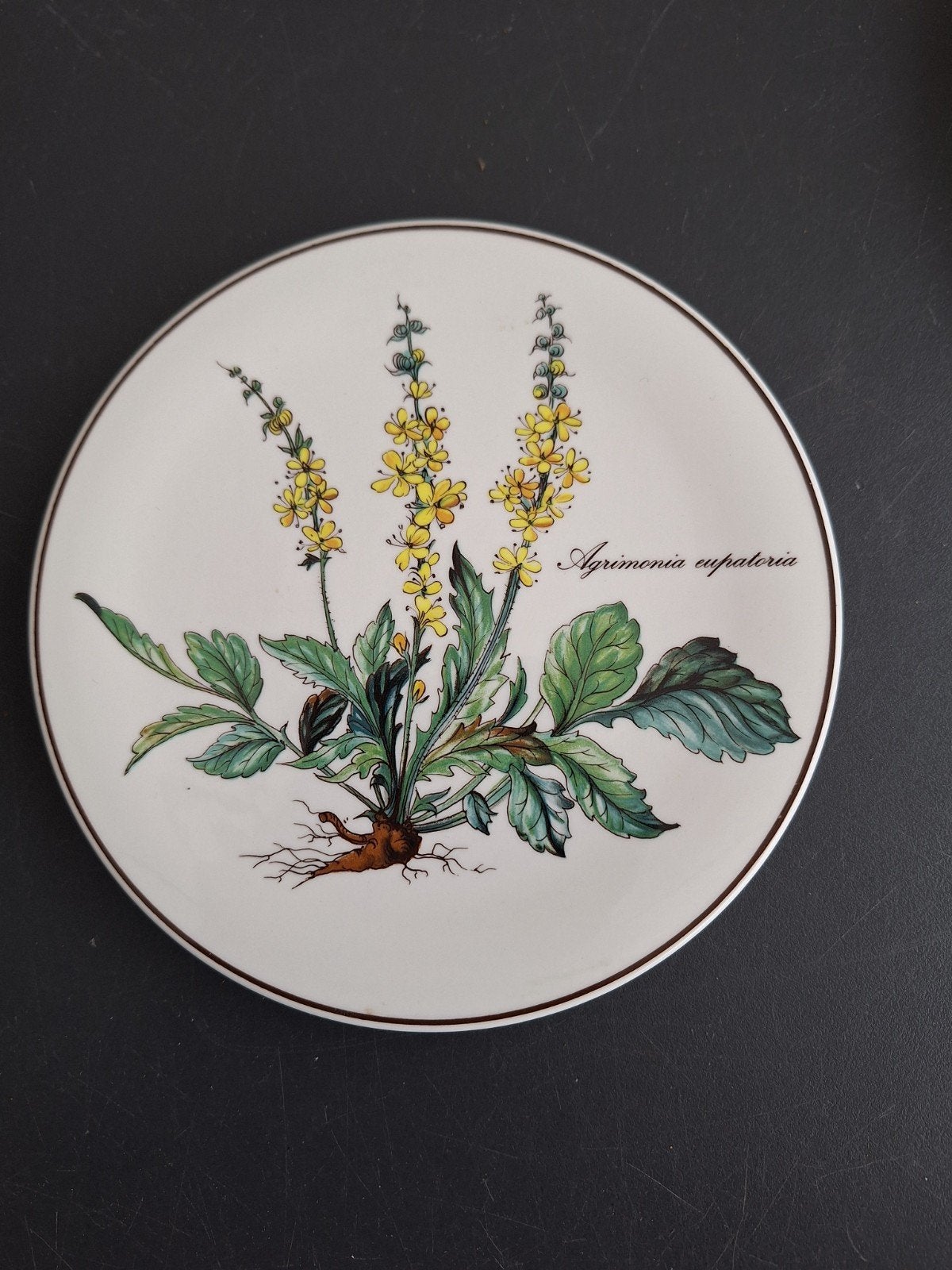 Villeroy & Boch Botanica onderzetter - Agrimonia eupatoria, Ophalen of Verzenden, Zo goed als nieuw