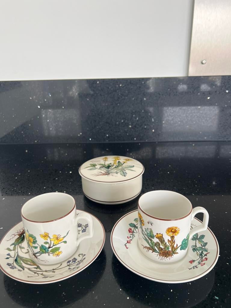 Nieuw / Villeroy en Boch Botanica servies, Ophalen of Verzenden