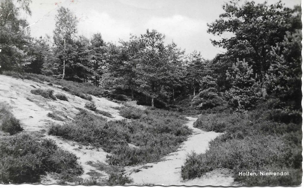 Holten- -Niemendal., Ophalen of Verzenden, 1960 tot 1980, Gelopen, Overijssel