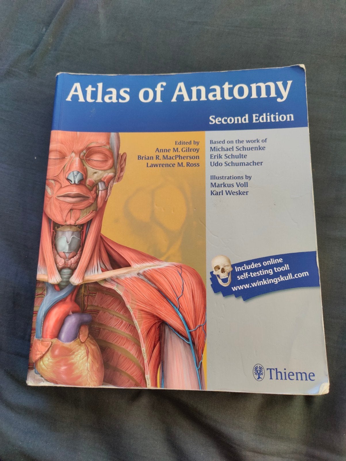 Boeken voor de opleiding Fysiotherapie, Ophalen of Verzenden, Beta, Gelezen, HBO