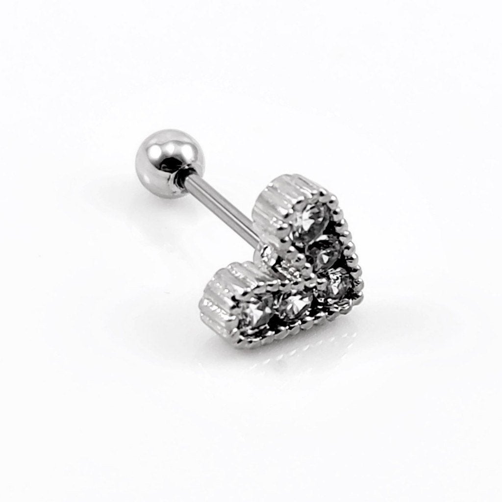 RVS Hart Zirkonia s Oorbel Helix Oor Piercing Tragus Kraakb., Staal, Birgitta-Gracht 33, 6465 EL Kerkrade, Nederland, Verzenden