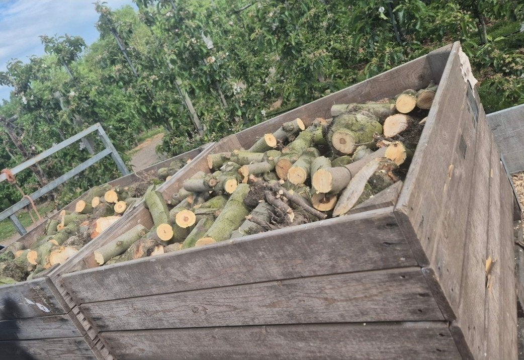 kachelhout Appel, Minder dan 3 m³, Ophalen, Overige houtsoorten, Blokken
