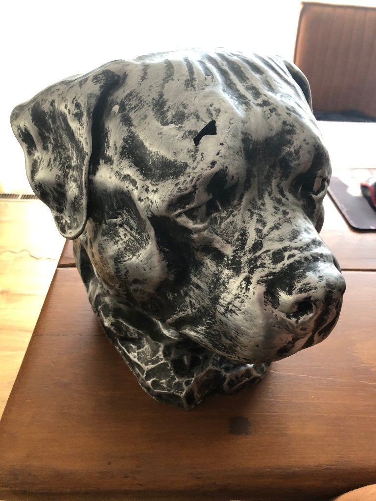 beeld hondenkop, Ophalen, Overige onderwerpen, Kunststof, 20 - 50 cm