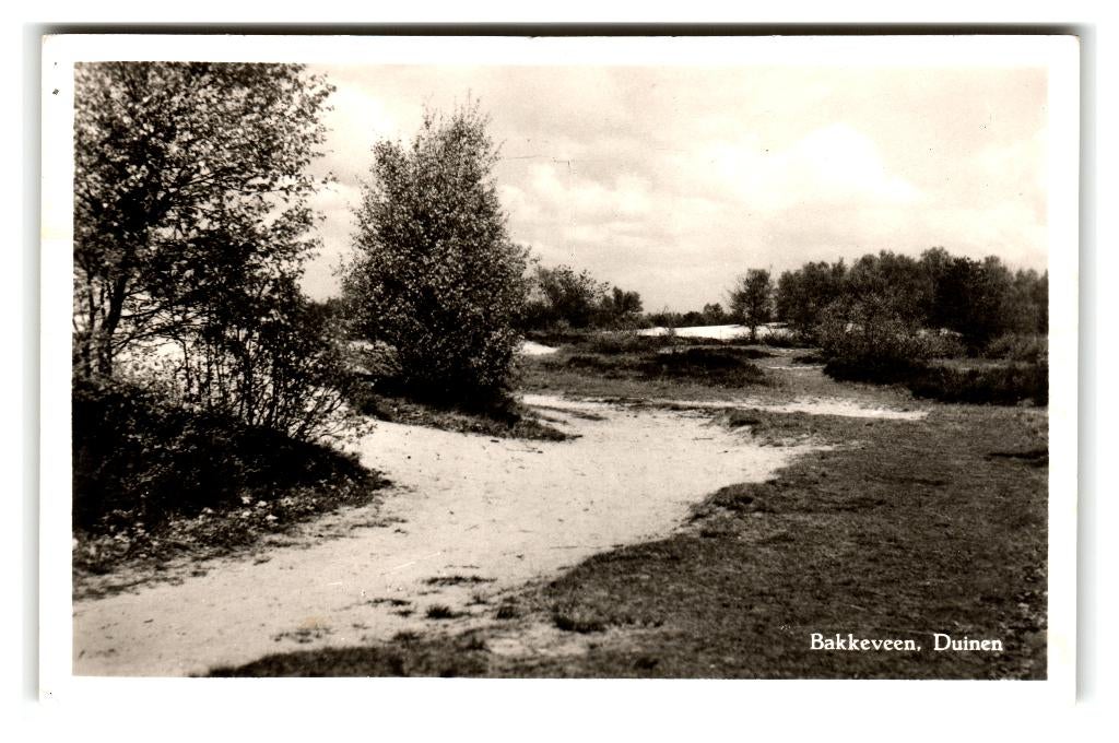 Bakkeveen, Duinen, Verzamelen, Ansichtkaarten | Nederland, Gelopen, Friesland, 1940 tot 1960, Verzenden