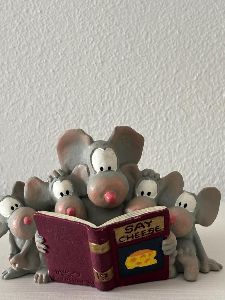 Beeldje muizen met boek, Ophalen of Verzenden, Zo goed als nieuw, Mens