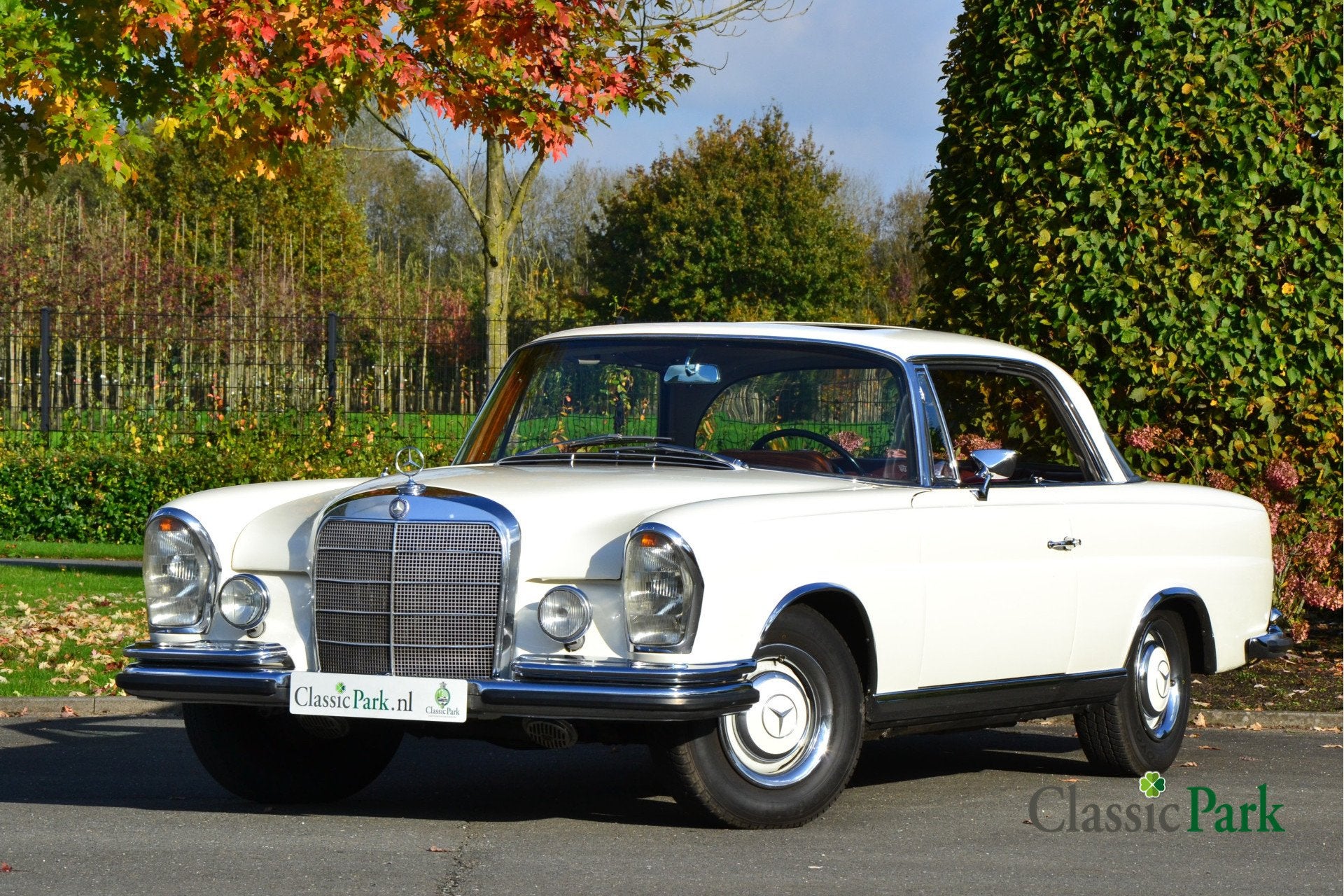 Mercedes-Benz 200-serie 250 SE Coupé (bj 1966, automaat), Auto's, Oldtimers, Achterwielaandrijving, 2497 cc, 150 pk, Wit