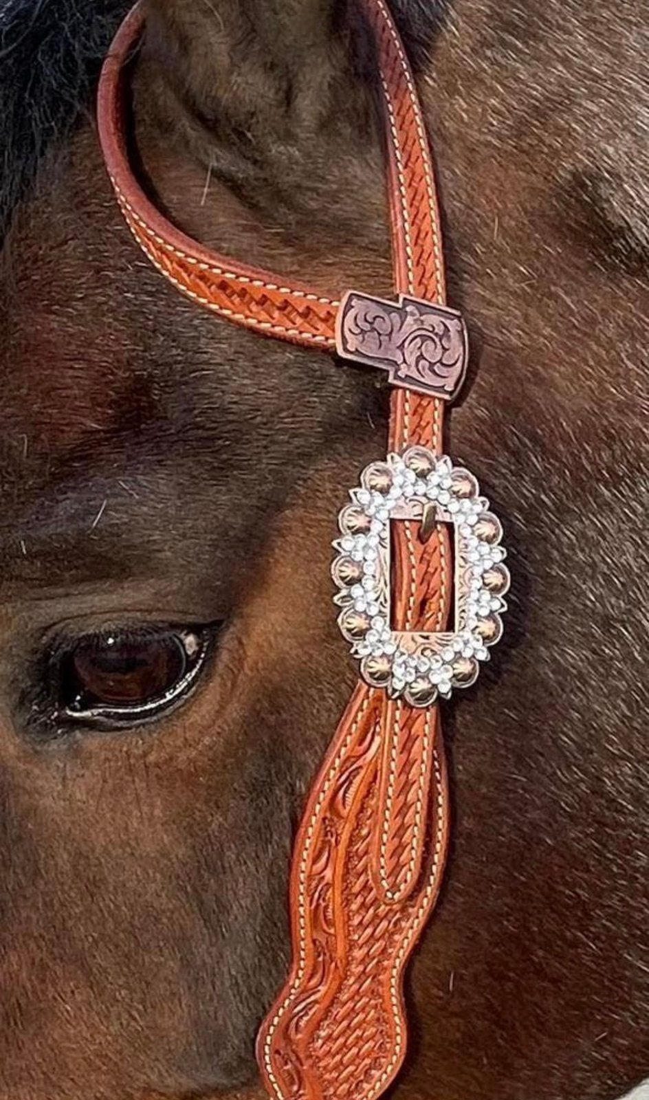 Chique two ear showhoofdstel met bling., Bruin, Ophalen of Verzenden, Zo goed als nieuw, Cob
