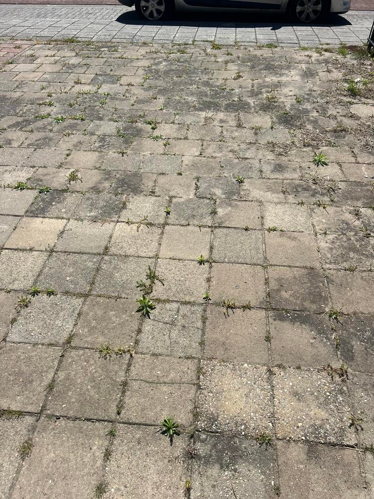 Terras reinigen Harderwijk, Doe-het-zelf en Verbouw, Tegels, Ophalen of Verzenden