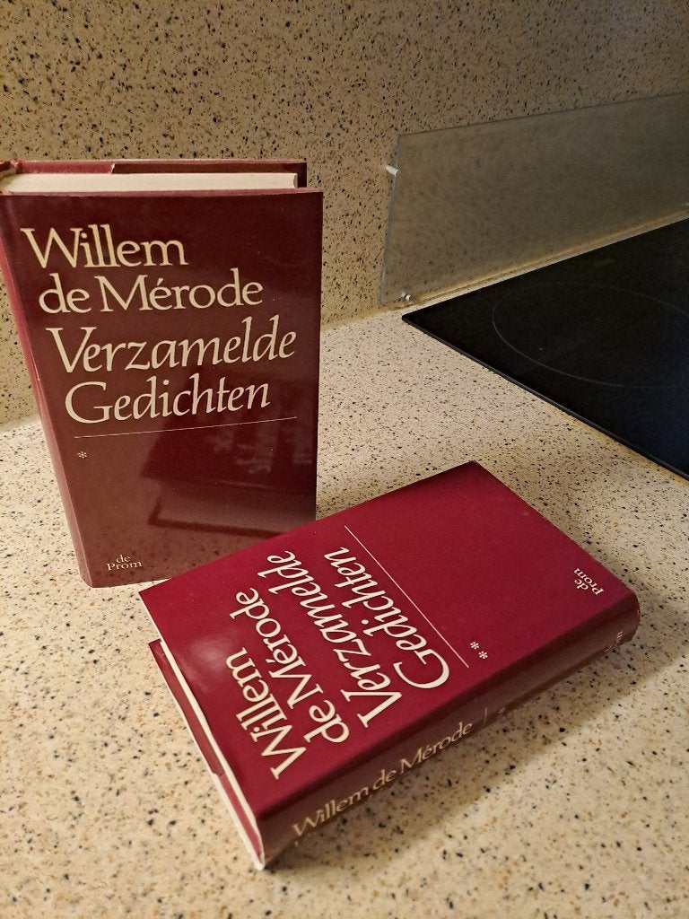 Boeken, Boeken, Ophalen of Verzenden, Zo goed als nieuw, Nederland