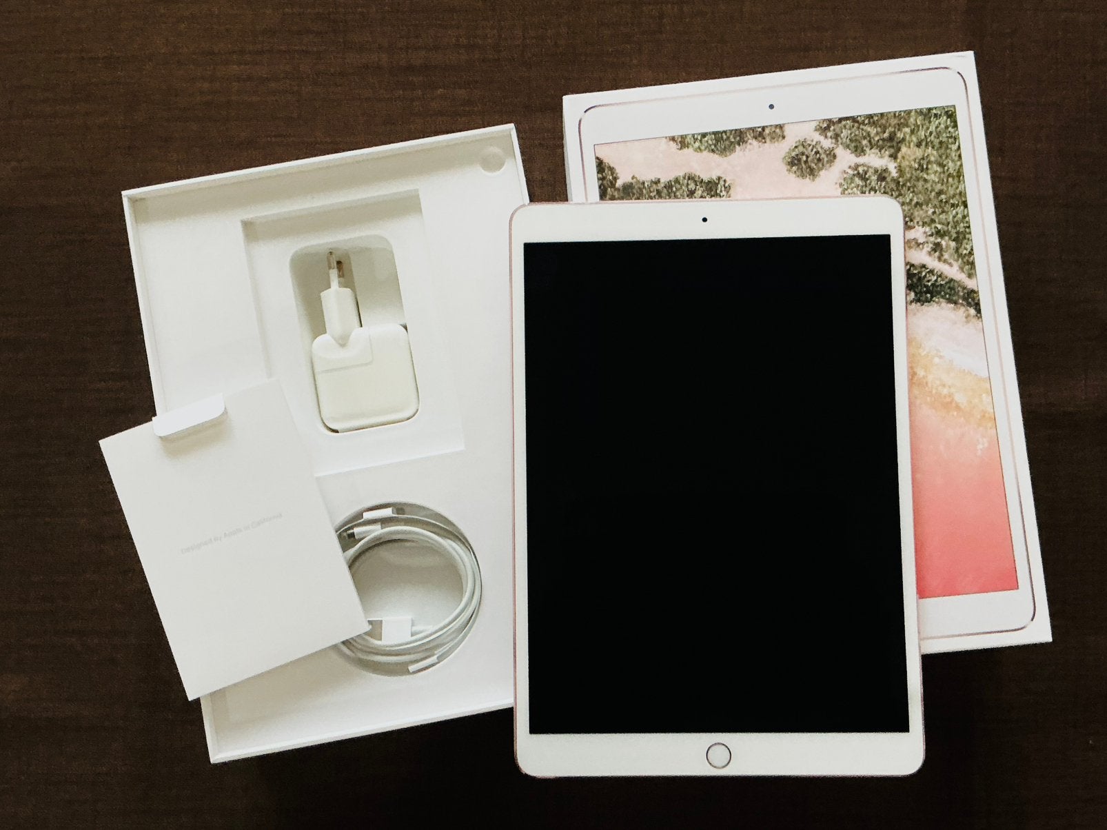 Apple Ipad 10.5 inch wifi (2017)  256 GB, Ophalen, Gebruikt
