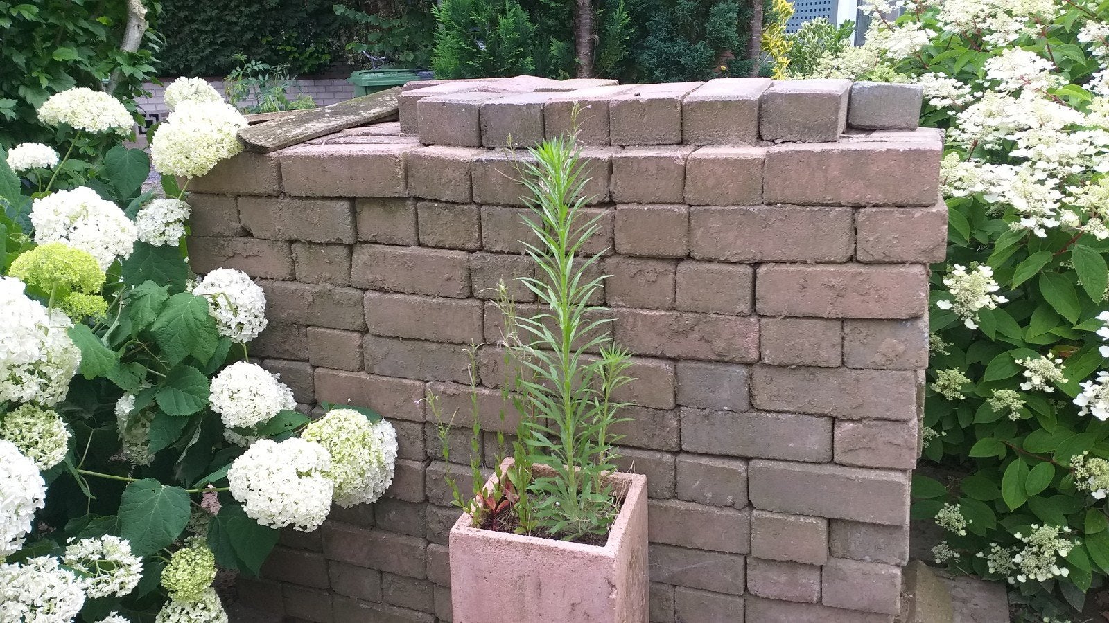 Gebruikte bakstenen voor tuin of bestrating, Ophalen, Gebruikt