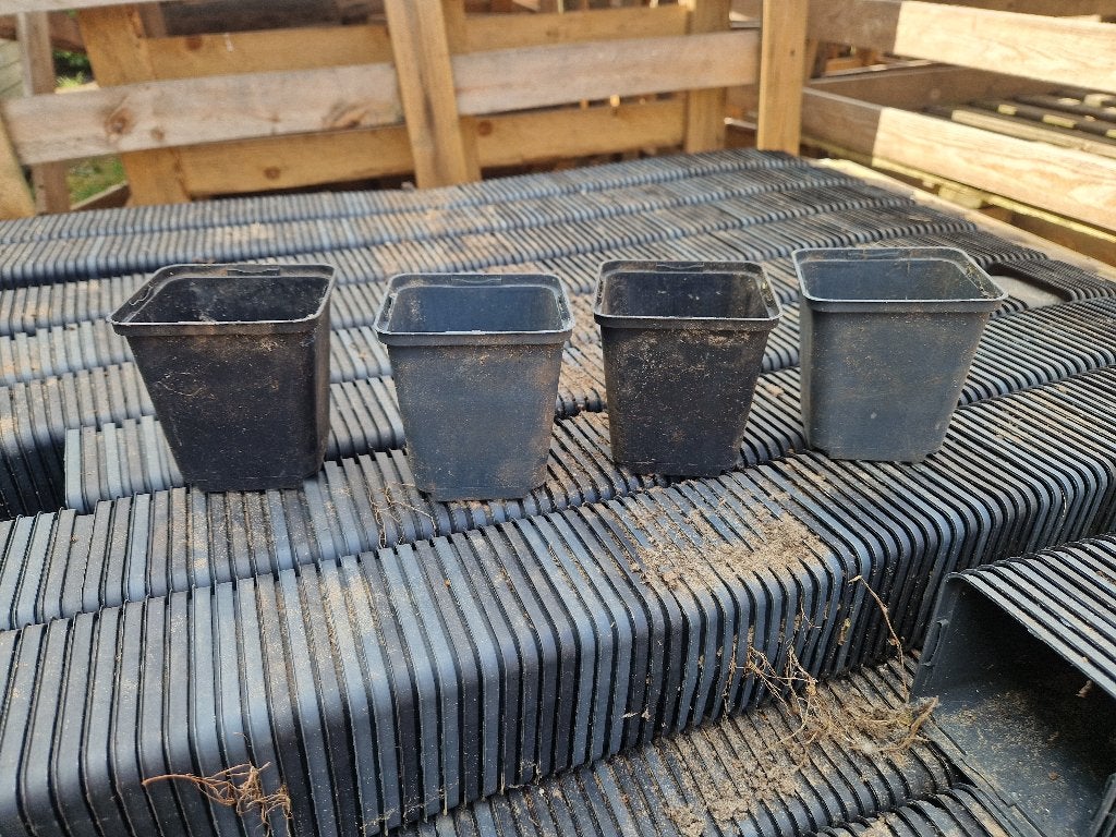 P9 stekpotjes vierkant 1x gebruikt 9cm kweekpotjes, Ophalen, Zo goed als nieuw, Overige typen