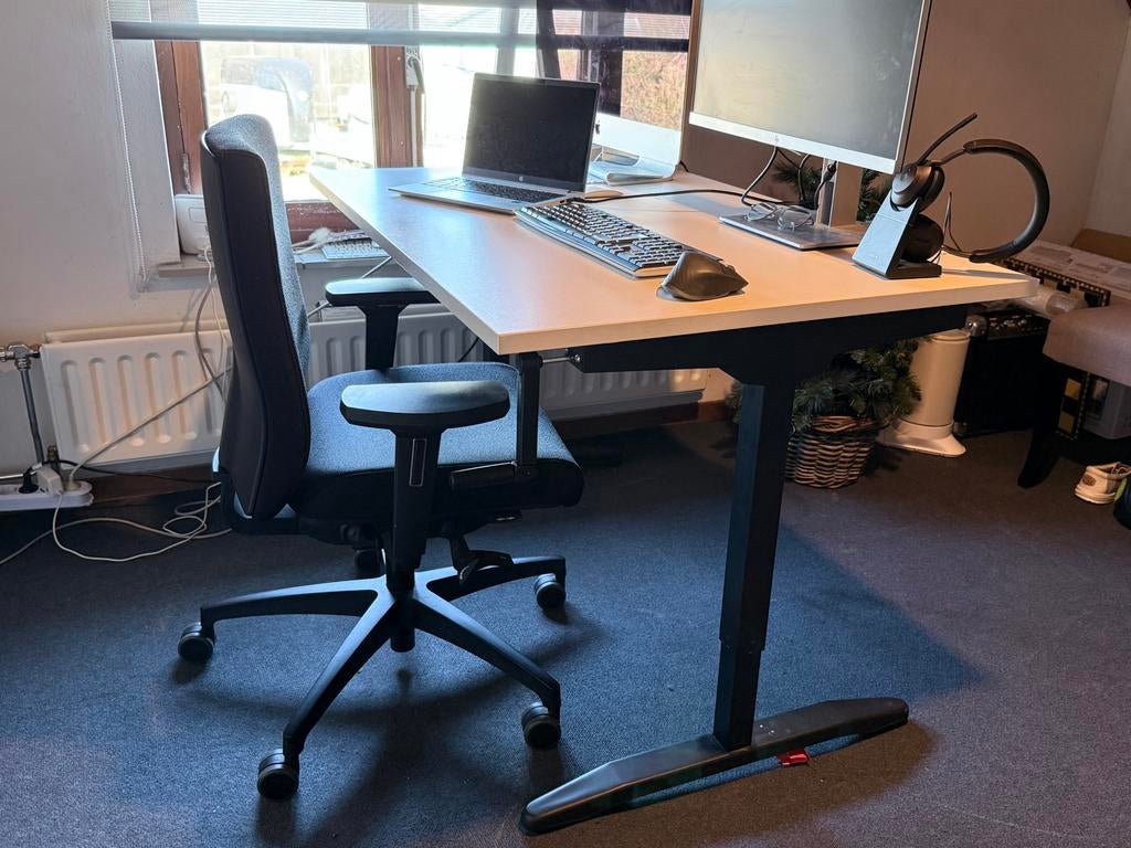 Proline tendenz ergonomisch bureau - In hoogte verstelbaar, Ophalen, In hoogte verstelbaar, Zo goed als nieuw