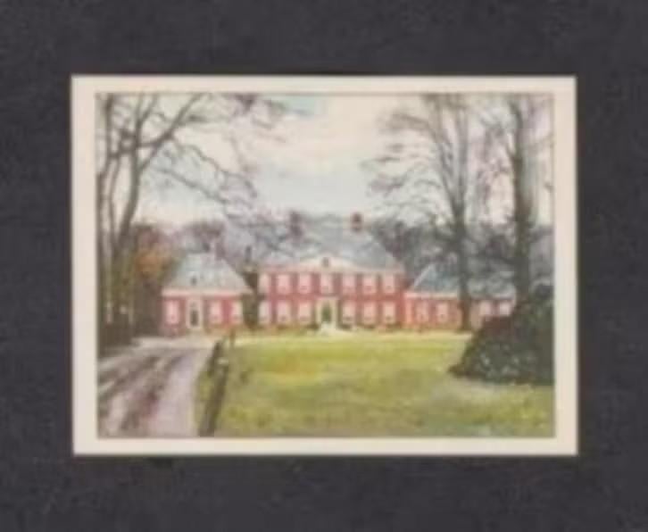 Albumplaatje Zuidlaren Laarwoud Drenthe (2), Ophalen of Verzenden, Zo goed als nieuw