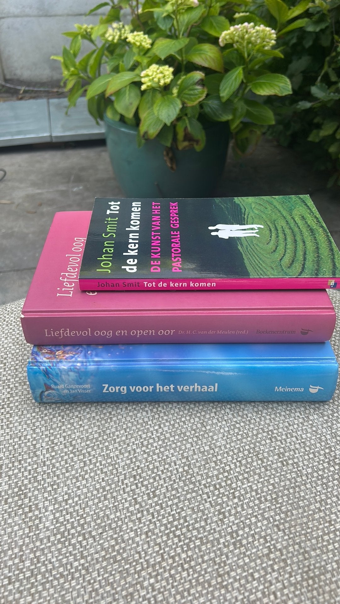 3 boeken tbv vak pastoraat op de CHE, Boeken, Christendom | Protestants, Ophalen of Verzenden, Zo goed als nieuw, Judith Visser; R. Ganzevoort