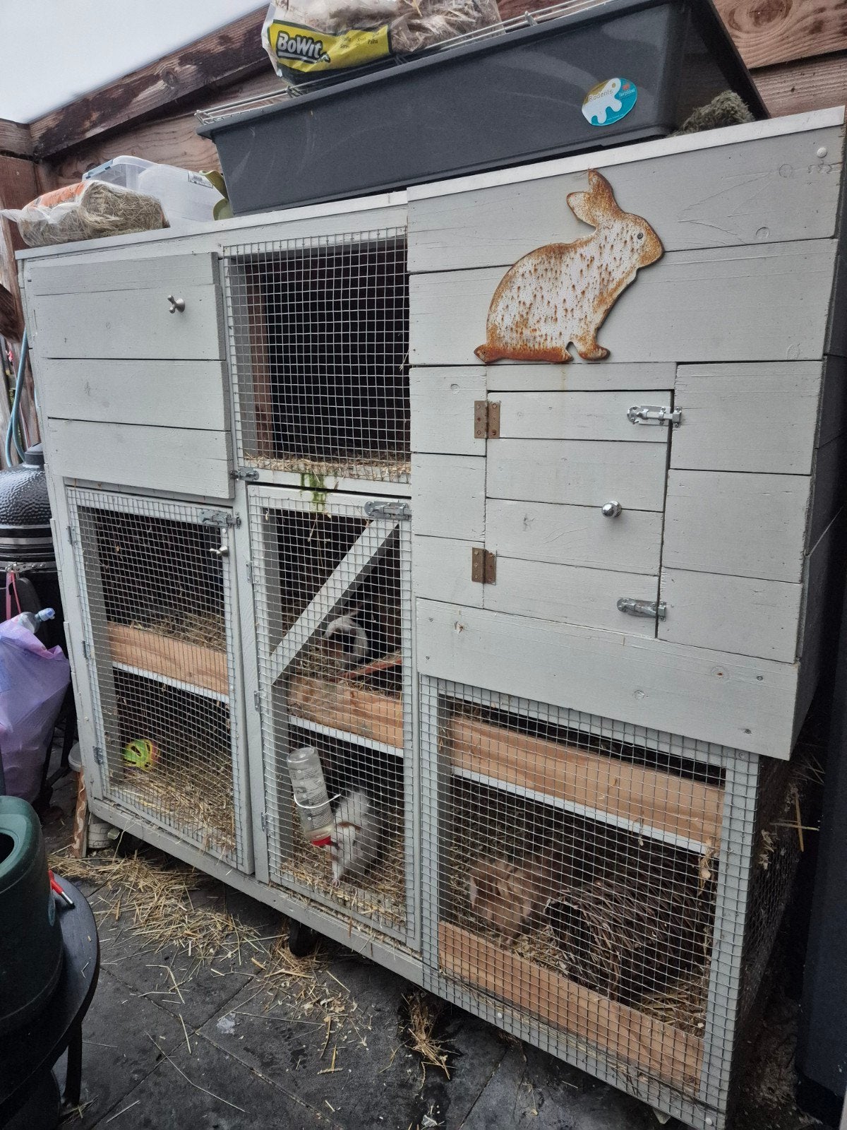 4 cavia zeugjes met groot buitenhok, 110 cm of meer, Hok, Cavia, Ophalen