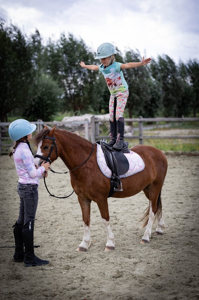Super brave en schattige welsh ruin, Ruin, Dressuurpony, 3 tot 6 jaar, B pony (1.17m tot 1.27m)