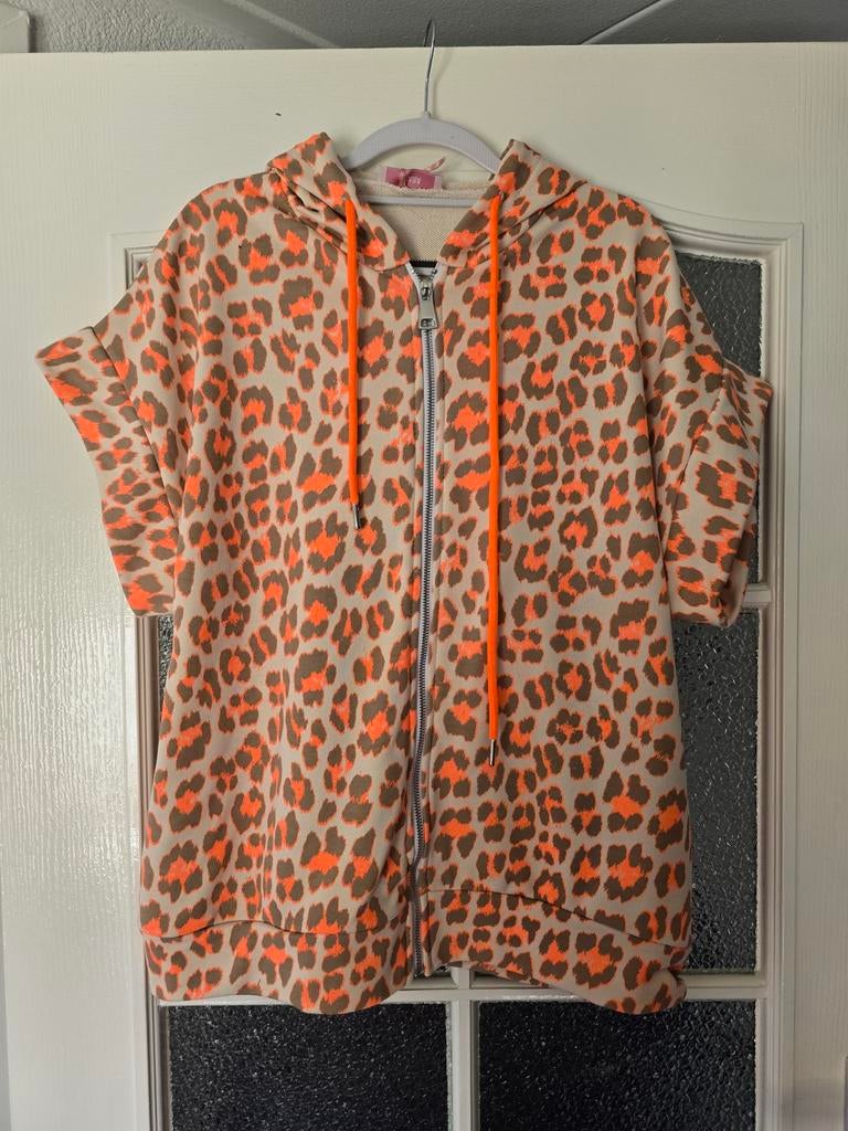 Nieuw gilet vest neon oranje panter 40 42 44, Ophalen of Verzenden, Nieuw, Maat 42/44 (L), Oranje