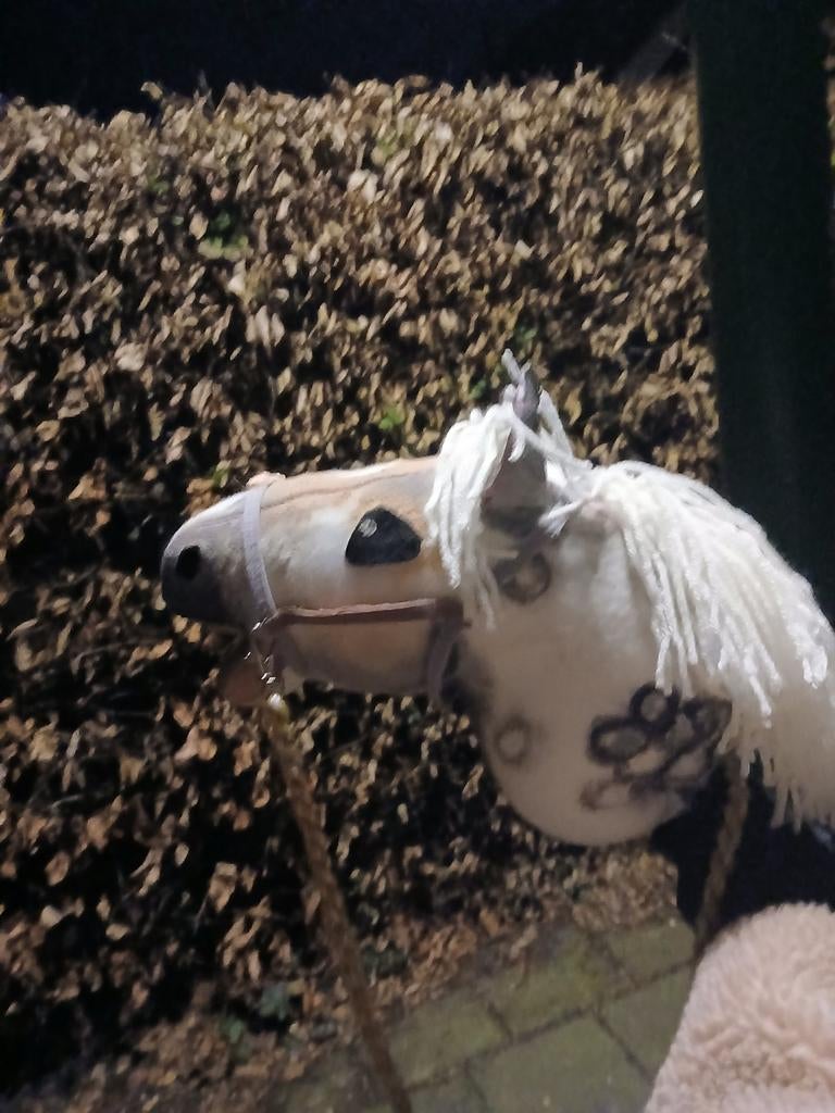 Nieuwe, handgemaakte hobbyhorses met stok, Hobby en Vrije tijd, Ophalen of Verzenden, Nieuw