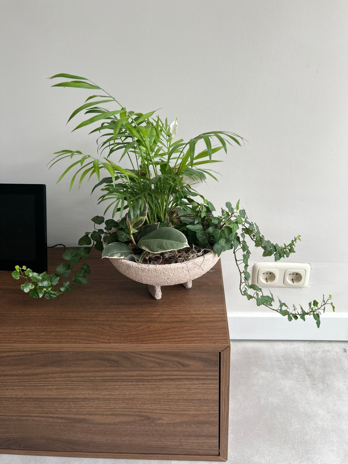 Plantenbakje intratuin, Ophalen, Minder dan 30 cm, Rond, Zo goed als nieuw