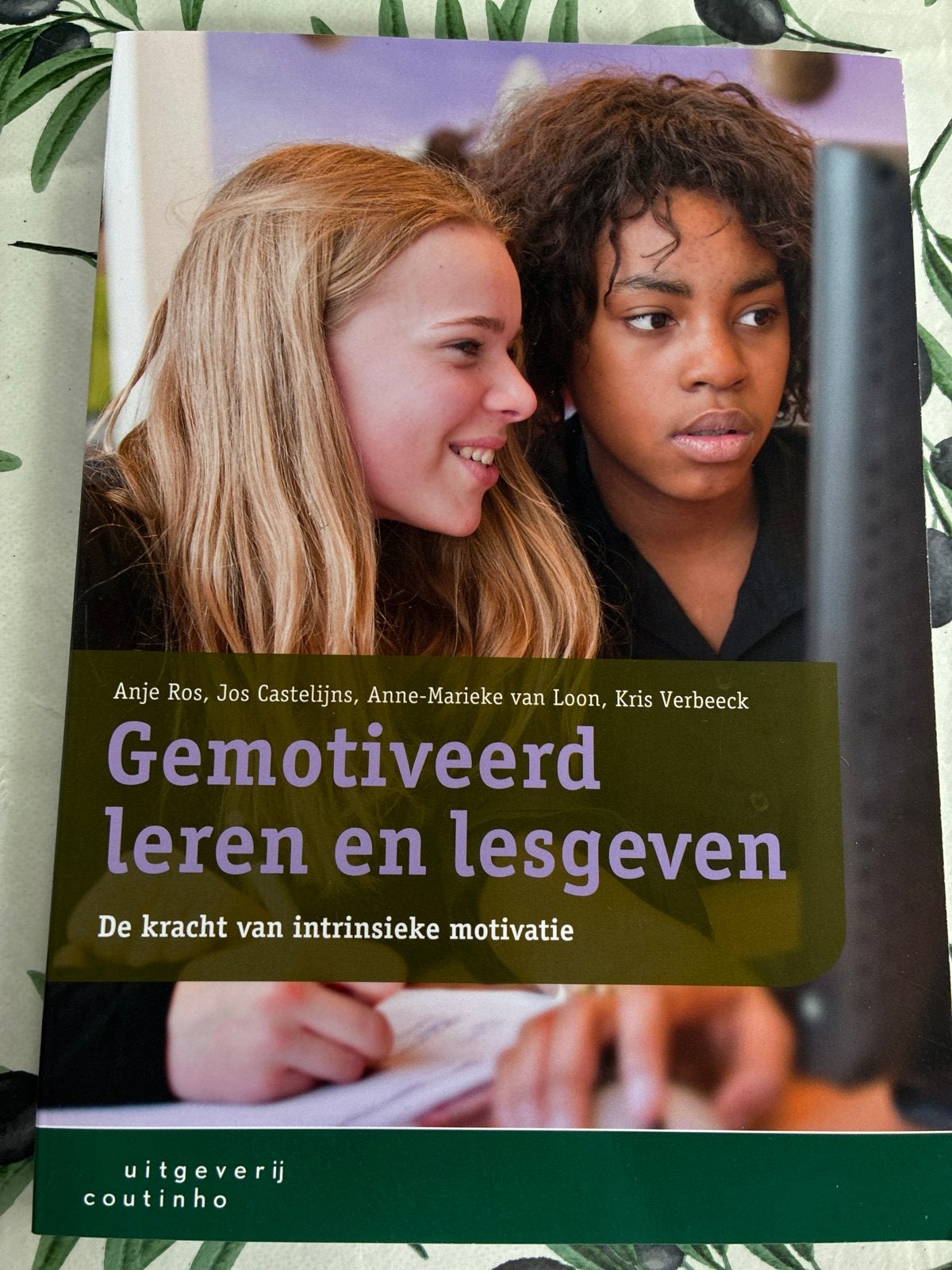 Gemotiveerd leren en lesgeven: De kracht van intrinsieke mot, Boeken, Ophalen of Verzenden, Gamma, Zo goed als nieuw, HBO