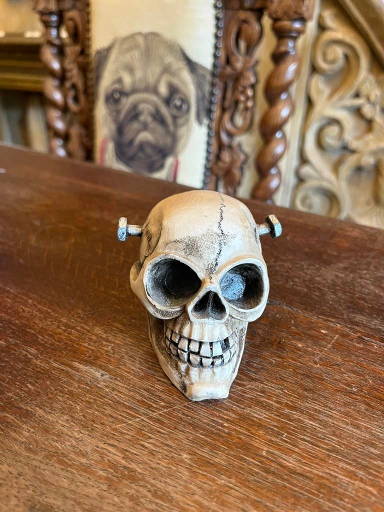 Skull beeldje, Ophalen of Verzenden, Nieuw