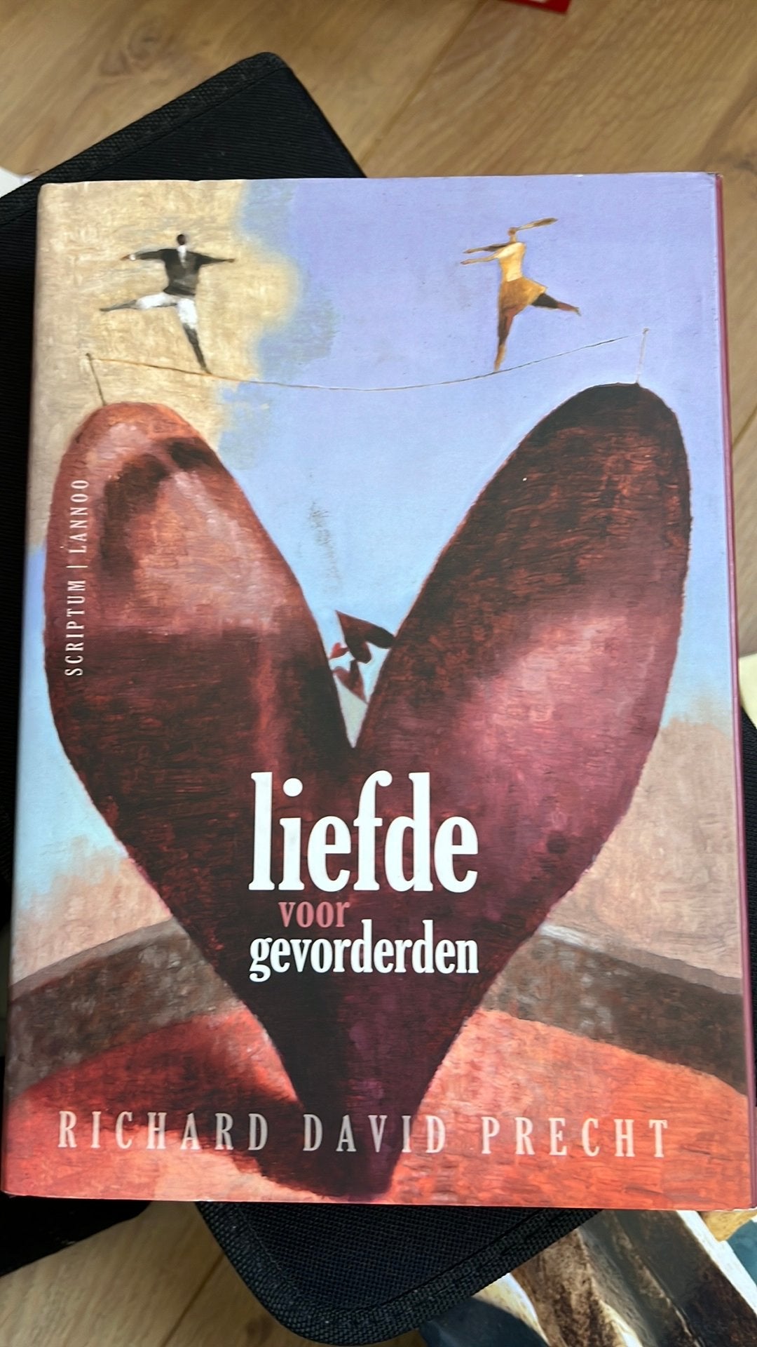 Richard David Precht - Liefde voor gevorderden, Boeken, Ophalen of Verzenden, Gelezen, Richard David Precht