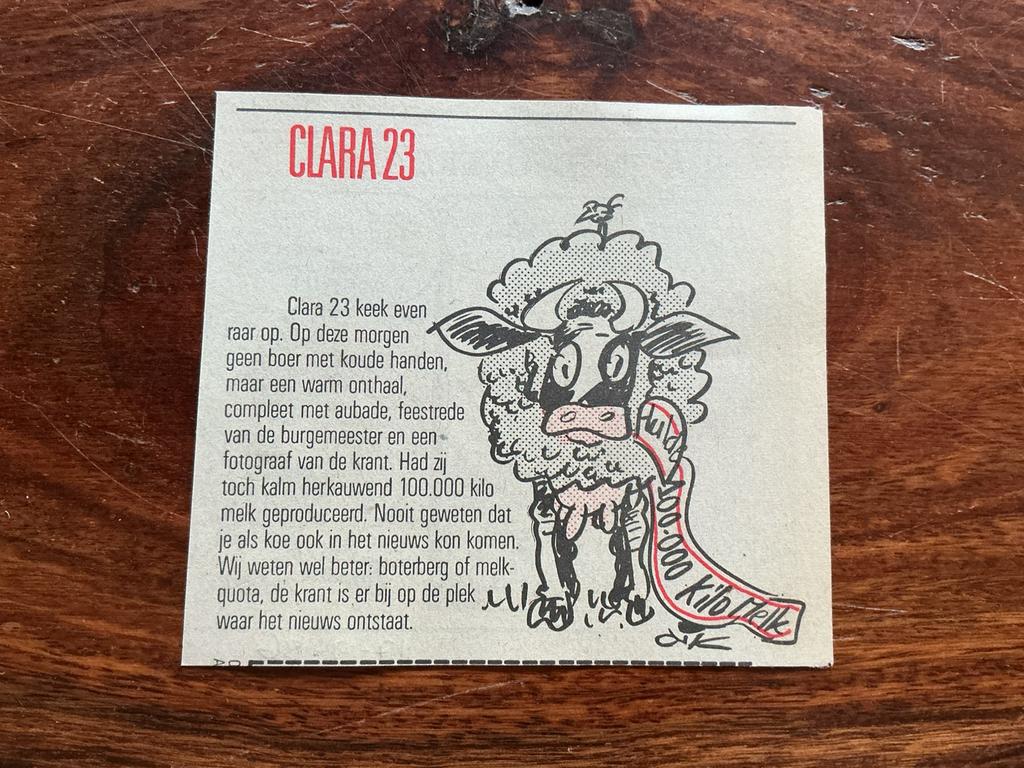 Karikatuur Dik Bruynesteyn Clara 23 krantenartikel 1986, Ophalen of Verzenden, Knipsel(s)