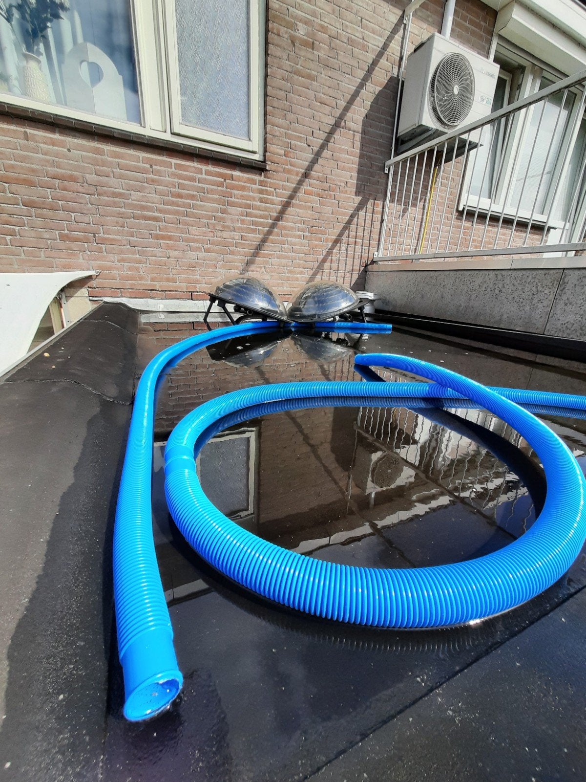 Solarbol, Ophalen of Verzenden, Nieuw