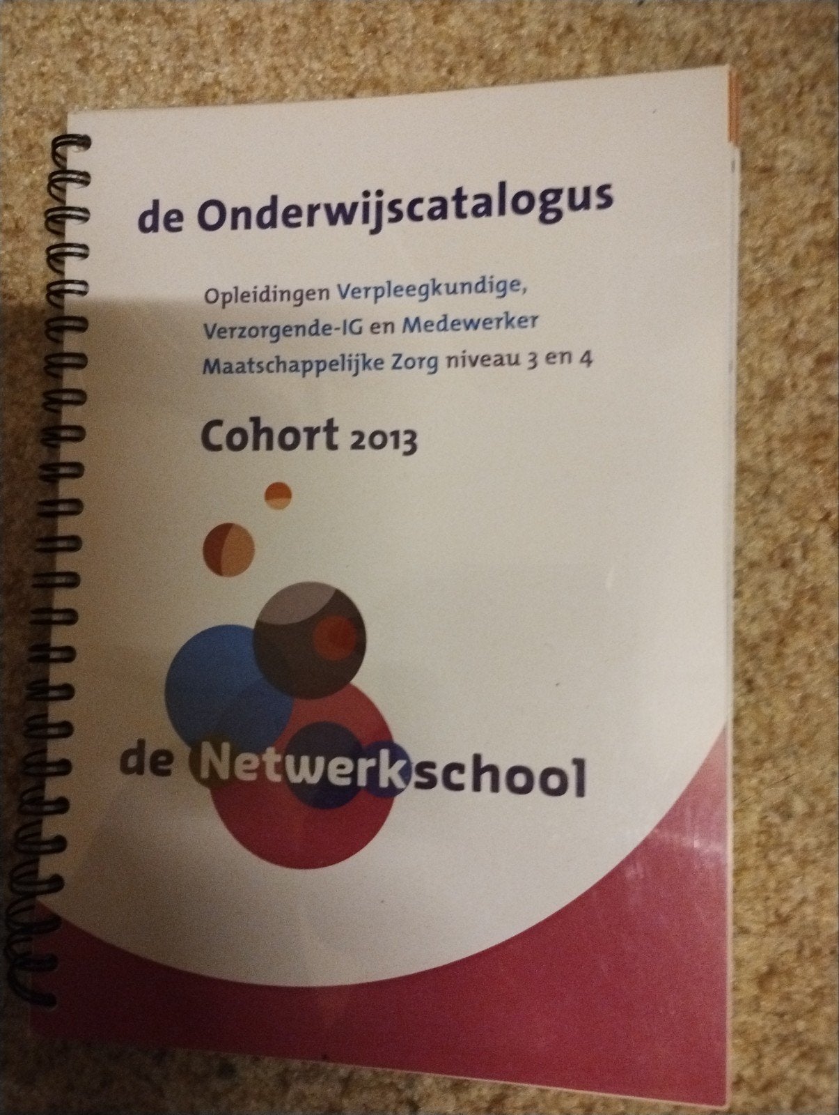 Onderwijscatalogus Netwerkschool Cohort 2013, Gelezen, De Netwerkschool, Ophalen of Verzenden, MBO