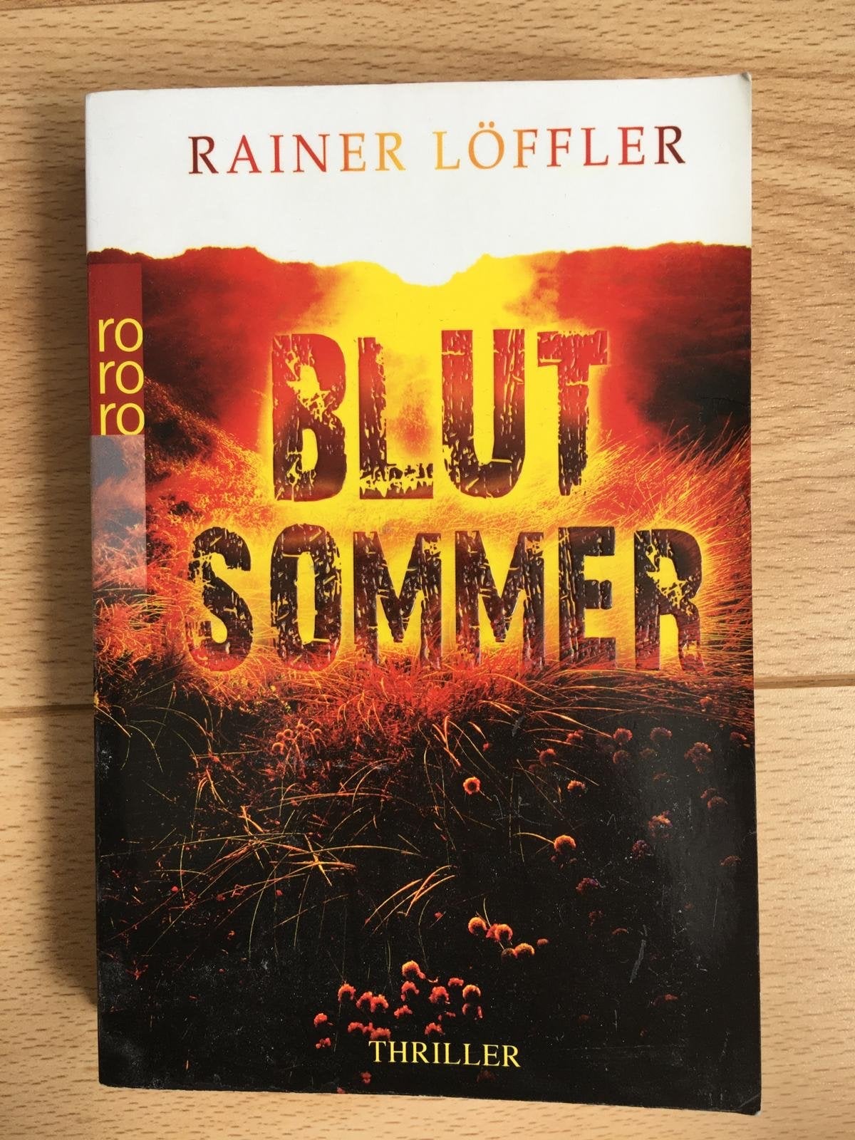 Blutsommer - Rainer Löffler (Duitse Thriller), Boeken, Ophalen, Gelezen, Europa overig