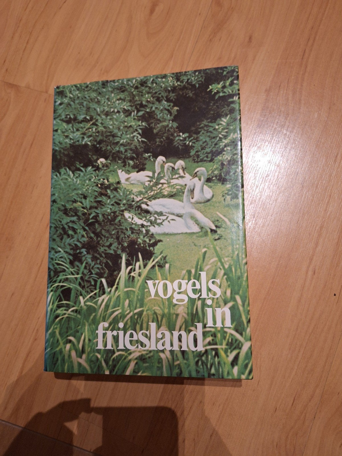 Vogels in Friesland - Boek over Friese vogelsoorten, Ophalen of Verzenden, Gelezen, Vogels, Onbekend