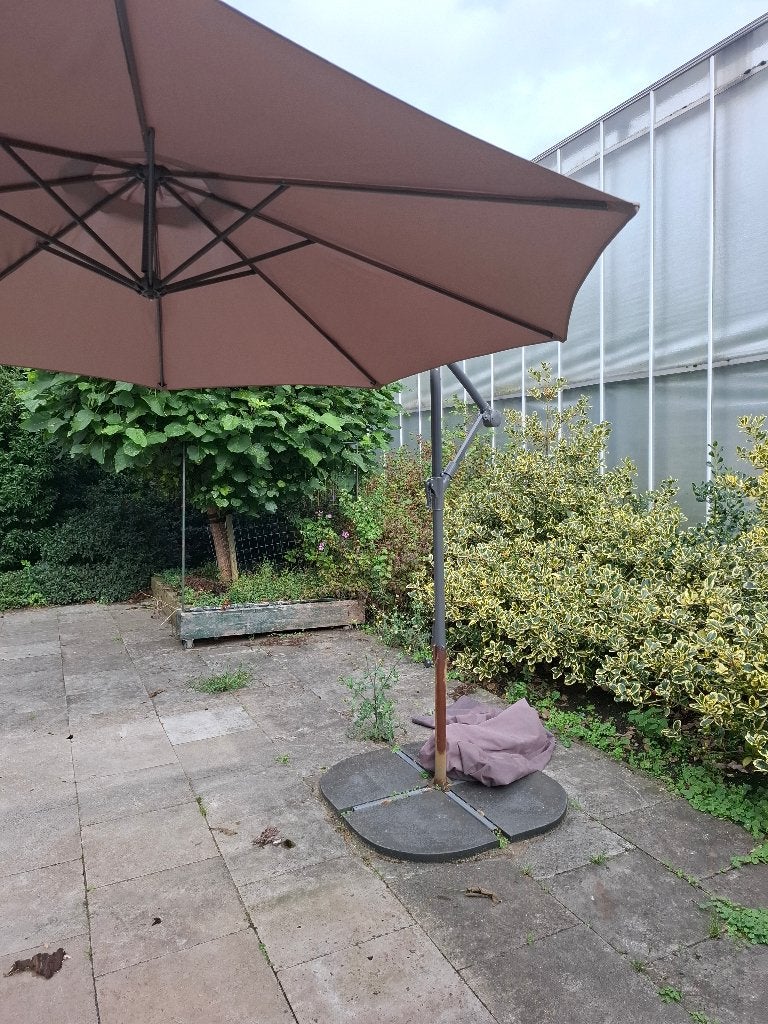 Parasol