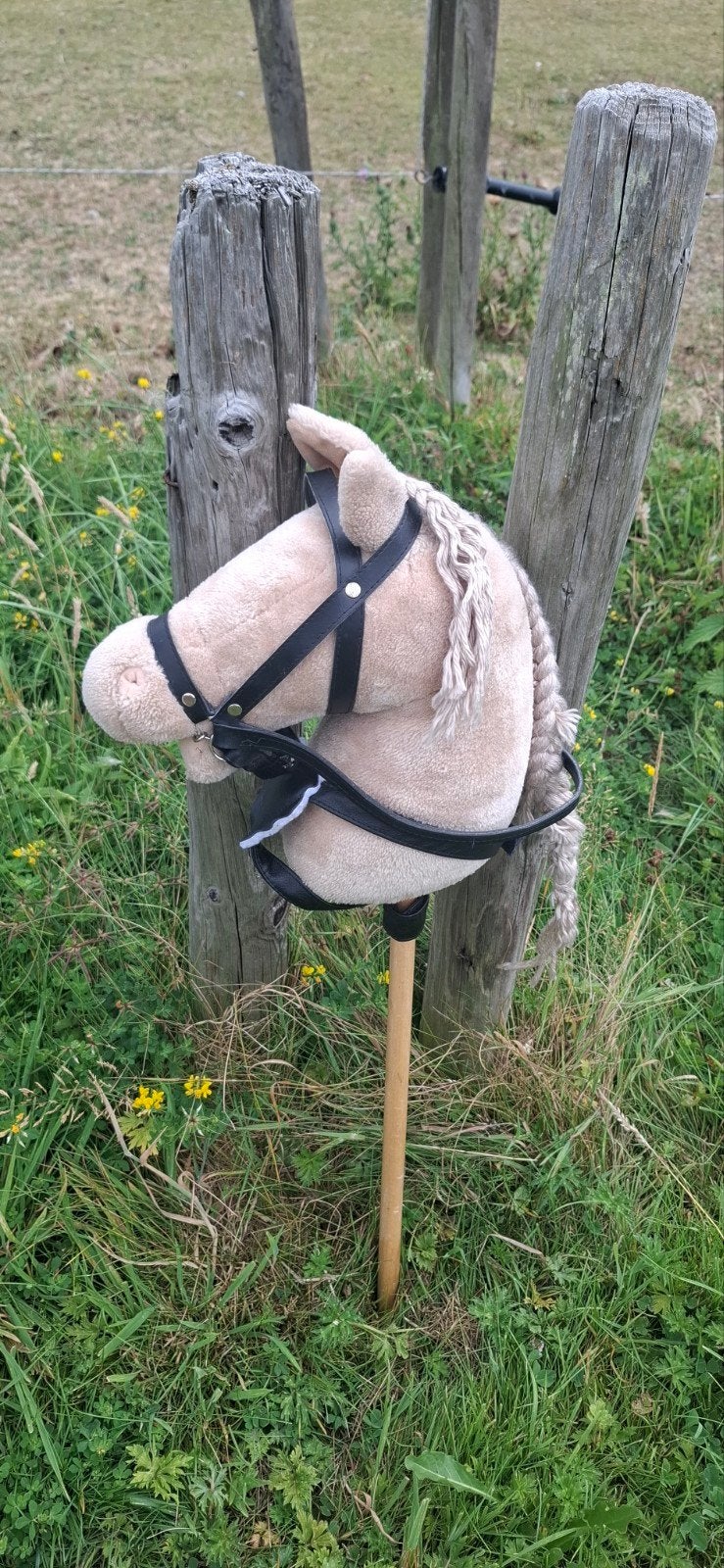 Hobbyhorse - Stokpaardje, Ophalen, Gebruikt, Jongen of Meisje