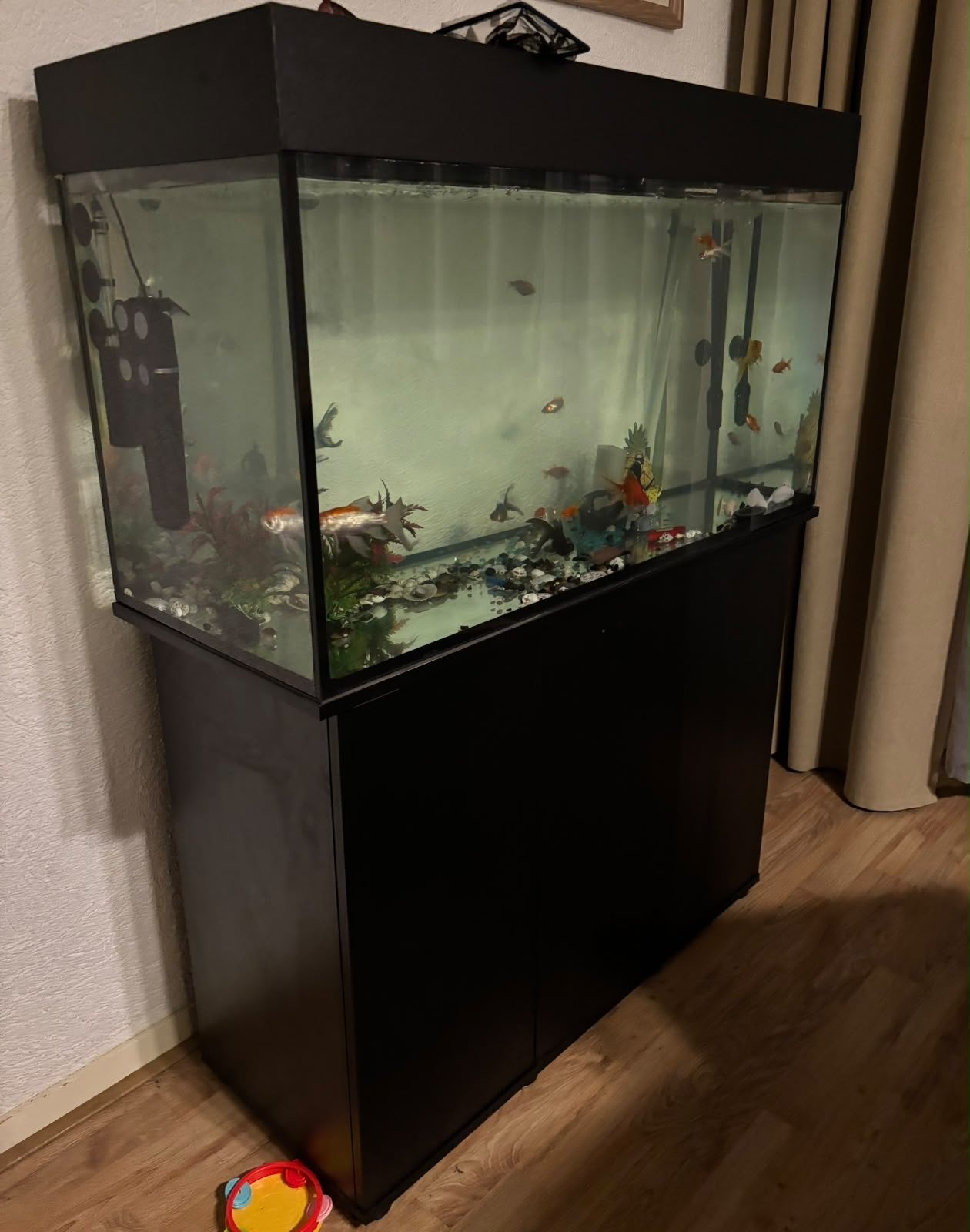 Aquarium (COMPLEET), Ophalen, Pomp, Nieuw, Aquariummeubel