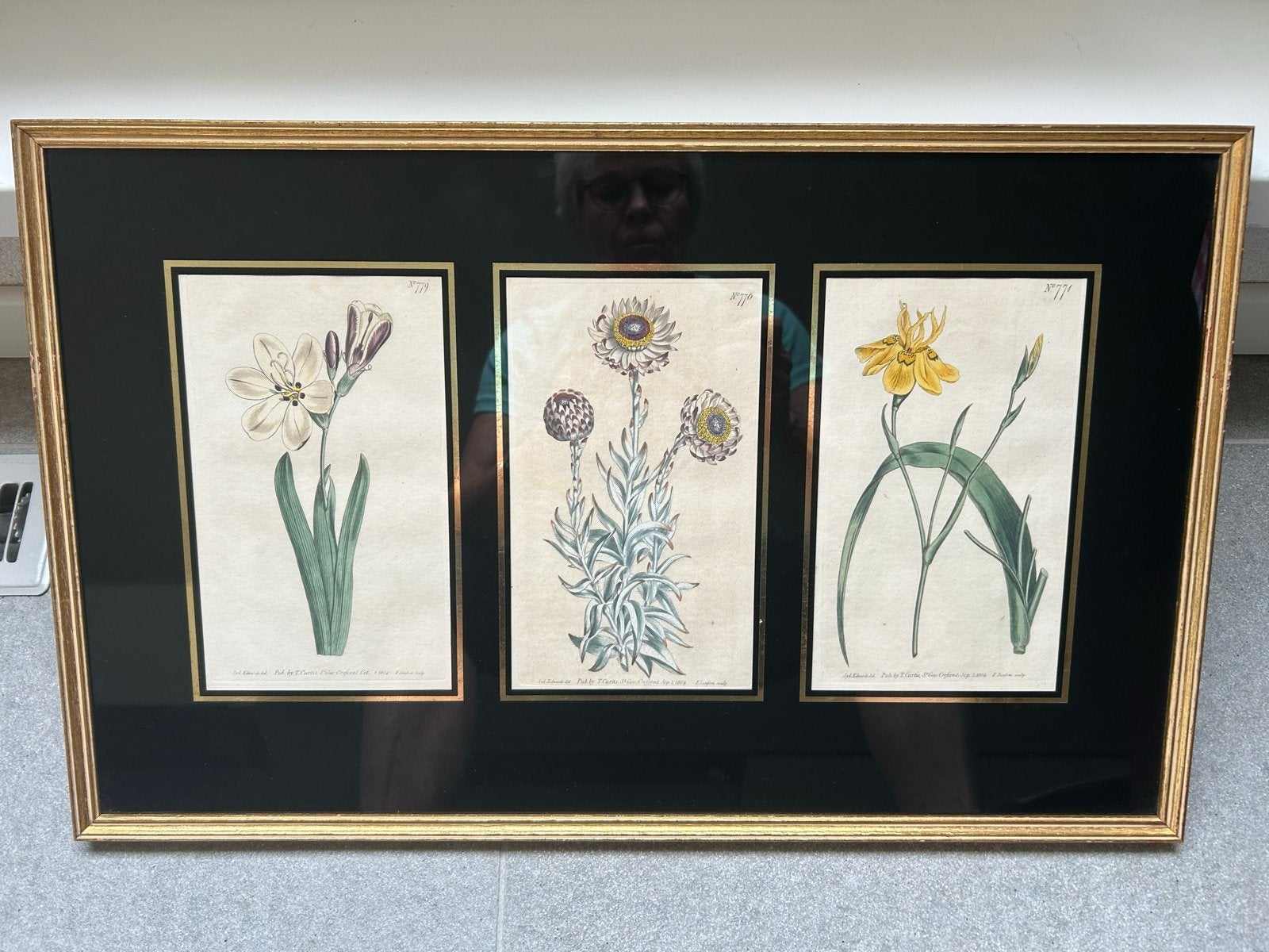 Ingelijste antieke Botanische Prenten - Flora en Fauna, Antiek en Kunst, Ingelijst, 1800 - 1899, Overige technieken, Ophalen of Verzenden