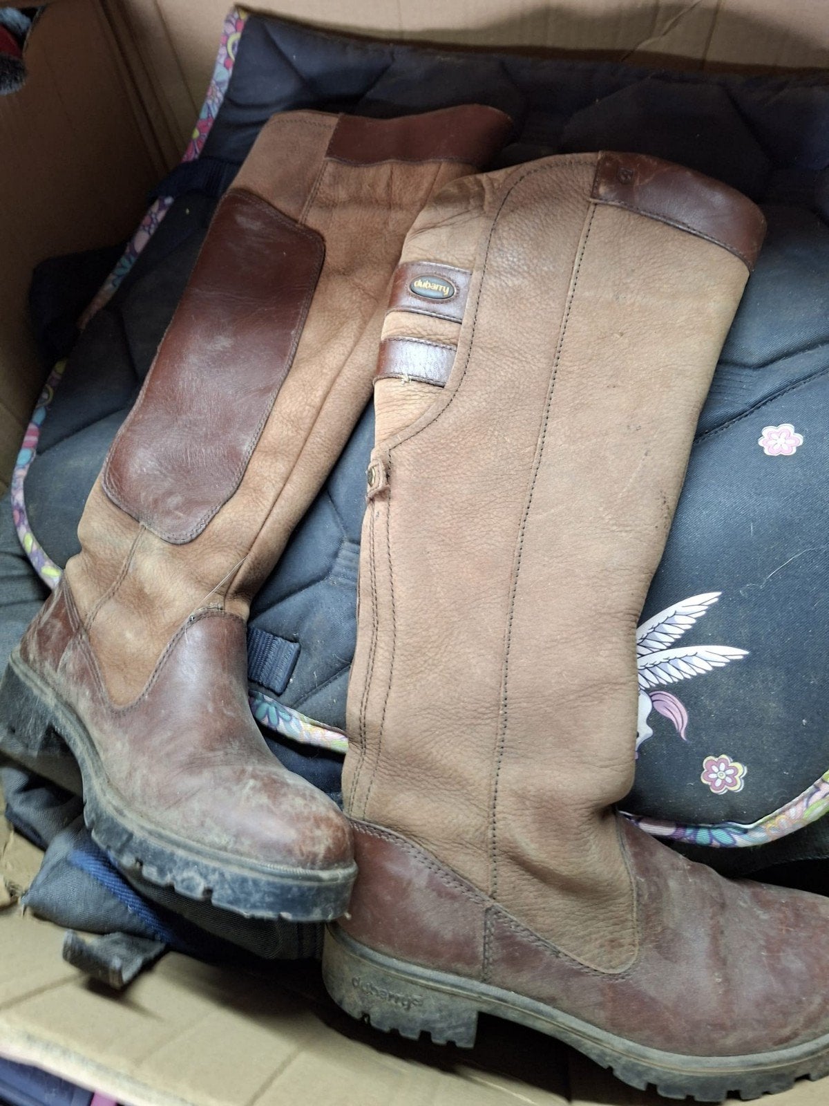 Dubarry dames laarzen maat 37 in goede staat., Ophalen of Verzenden