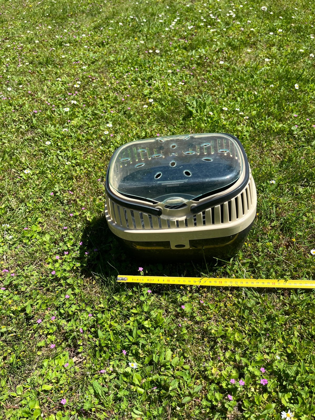 Transportbox, kleine bench voor een cavia / hamster, Ophalen, Zo goed als nieuw