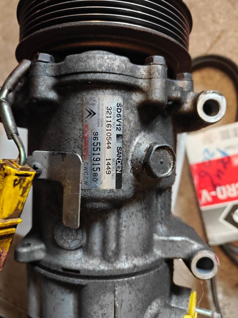 Peugeot 206 Airco Pomp met Nieuwe Multiriem - Sanden SD6V12, Ophalen of Verzenden, Nieuw, Peugeot