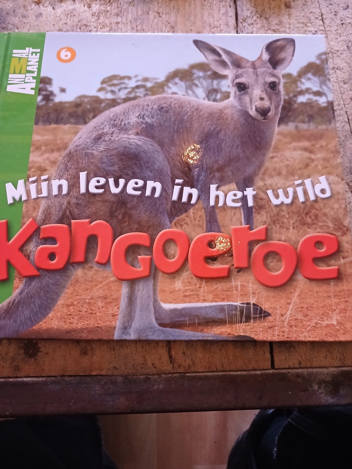 Mijn leven in het wild: Kangoeroe - Animal Planet, Ophalen of Verzenden