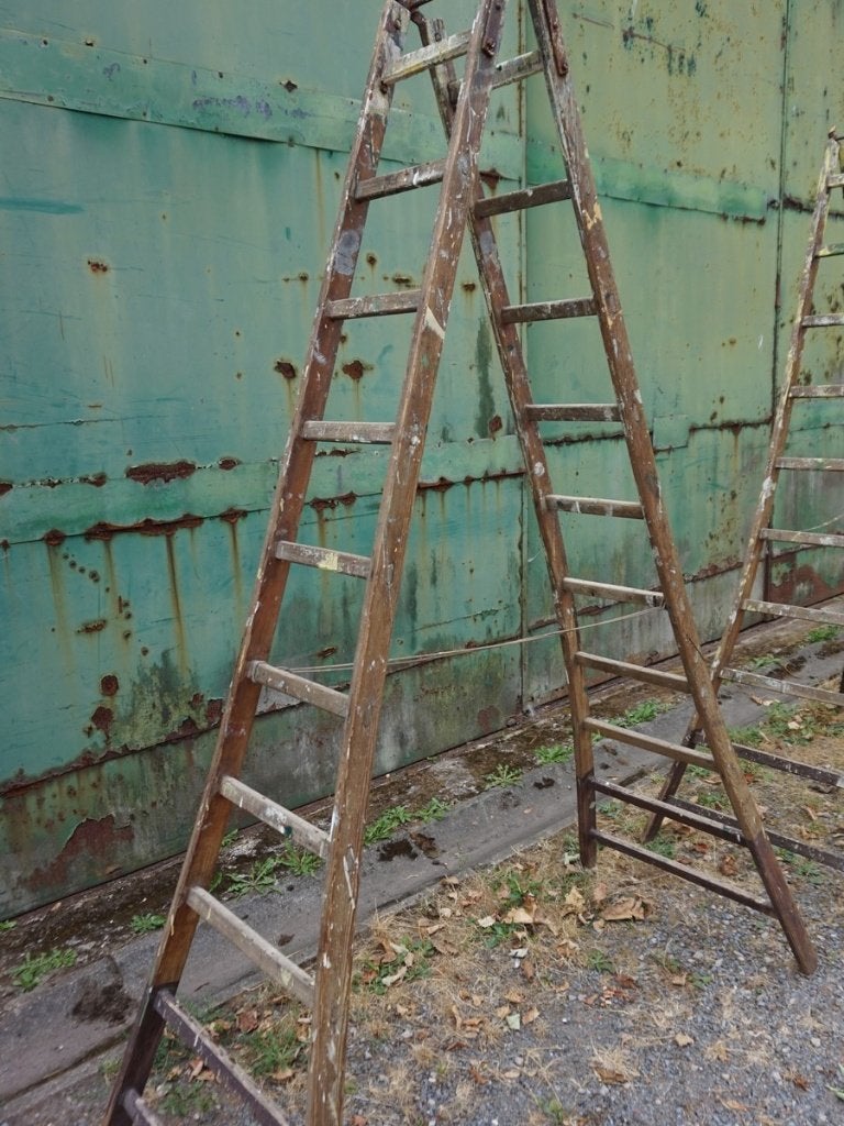 Oude houten schilders ladder, schilders trap, Ophalen, Gebruikt, Ladder, 2 tot 4 meter
