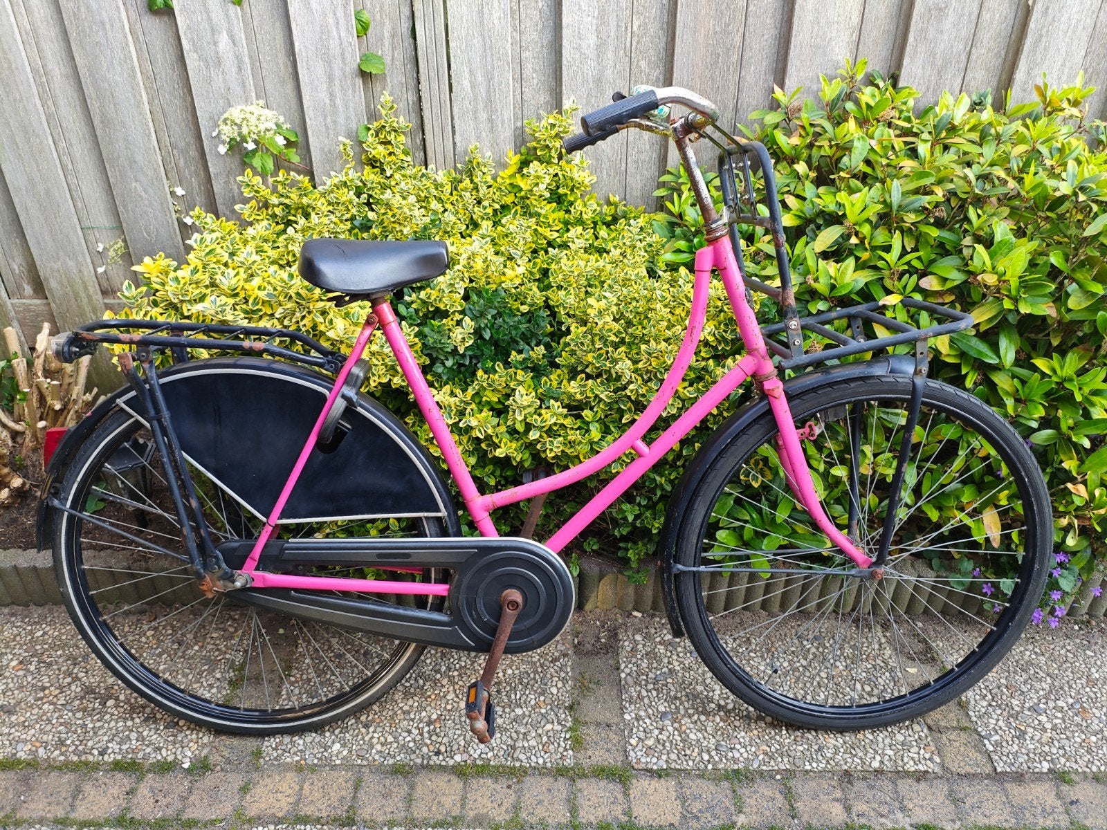 Roze BSP omafiets met voordrager en bagagedrager, Terugtraprem, Ophalen, Overige merken, 53 tot 56 cm
