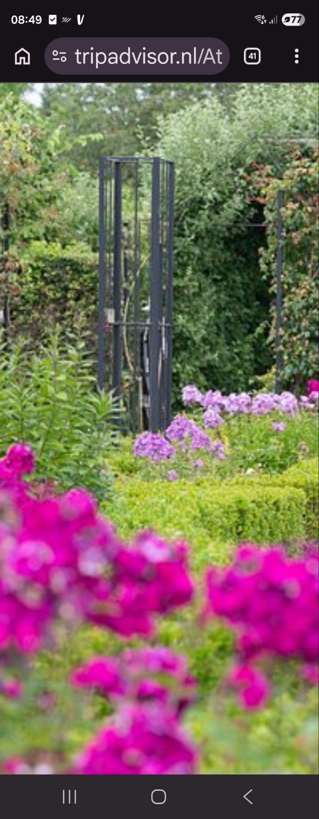Tuinhulp, Ophalen of Verzenden